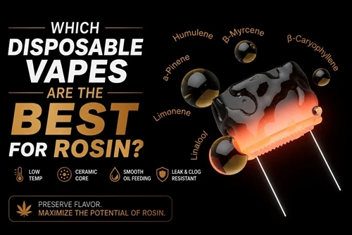 Који су вапе за једнократну употребу најбољи за колофониј?